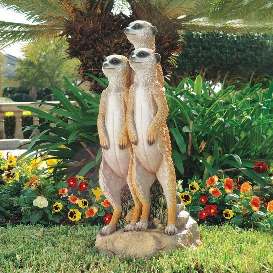 Design Toscano Meerkat Gang Statue