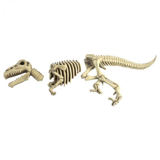 Design Toscano Raptor Skeleton Statue