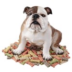 Design Toscano Buster The Bulldog Statue