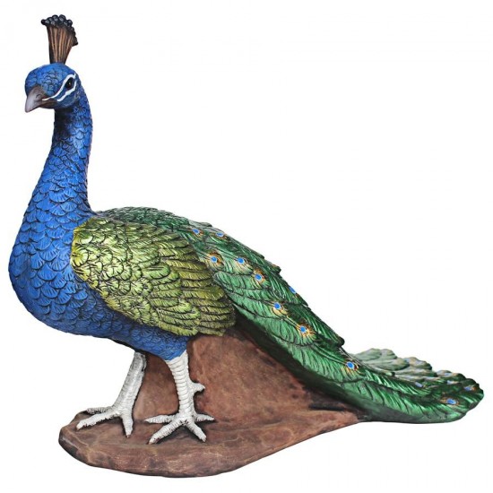 Design Toscano Regal Peacock Statue Medium