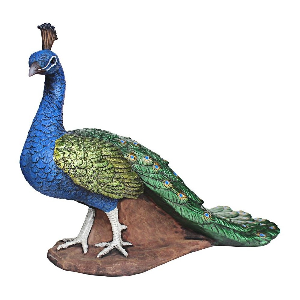 Design Toscano Regal Peacock Statue Medium Design Toscano Regal Peacock Statue Medium