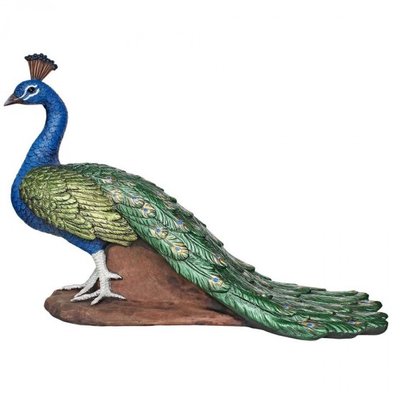 Design Toscano Regal Peacock Statue Medium