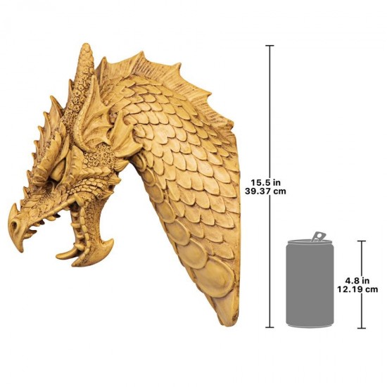 Design Toscano Head Of The Beast Dragon Plaque