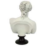 Design Toscano Venus De Milo Bust