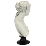 Design Toscano Venus De Milo Bust