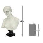 Design Toscano Venus De Milo Bust