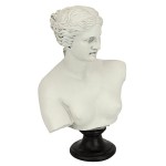 Design Toscano Venus De Milo Bust