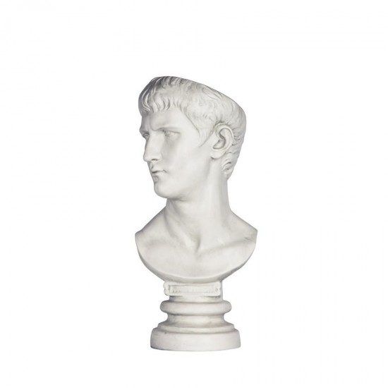 Design Toscano Caligula Bust Planter