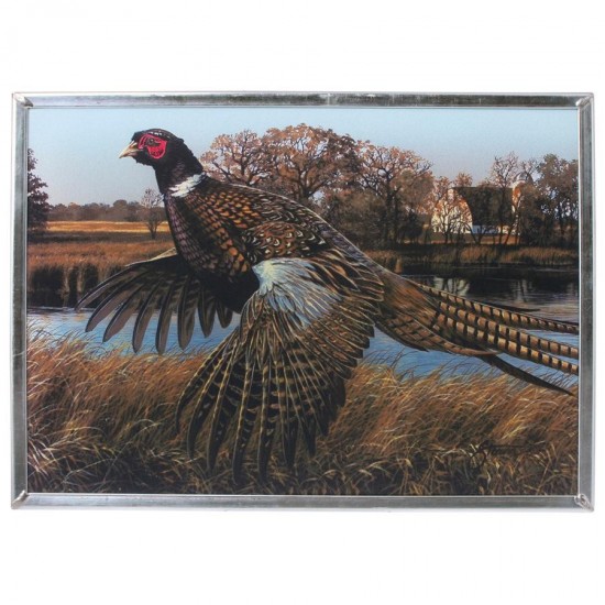 Design Toscano Pheasant Behind The Barn Art Glass