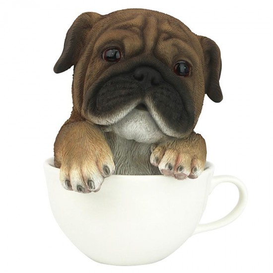 Design Toscano Pup In Cup Pug