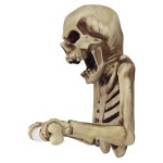 Design Toscano Bone Dry Skeleton Toilet Paper Holder