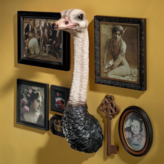 Design Toscano Ostrich Trophy Bird Wall Sculpture