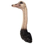 Design Toscano Ostrich Trophy Bird Wall Sculpture