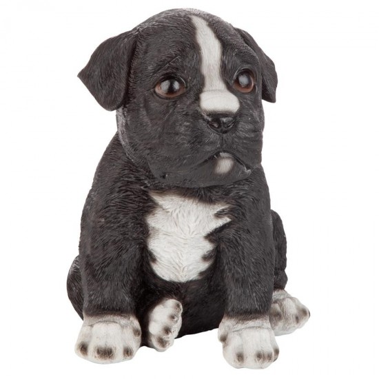 Design Toscano Border Collie Puppy Partner Statue