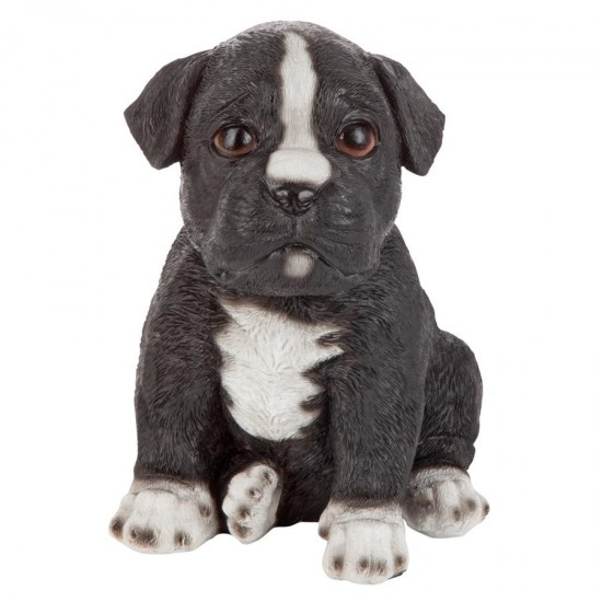 Design Toscano Border Collie Puppy Partner Statue