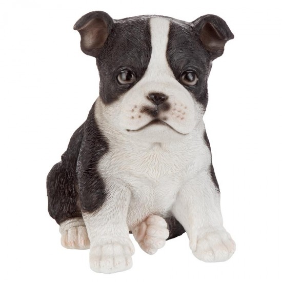 Design Toscano Boston Terrier Pupy Partner Statue