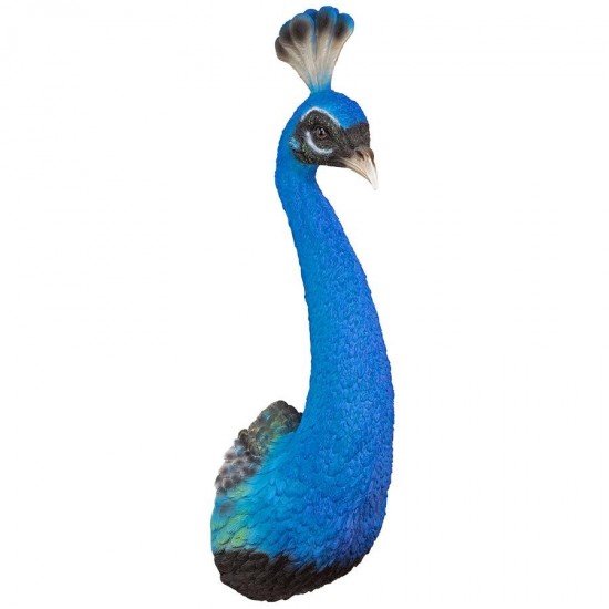 Design Toscano Peacock Head Wall Sculpture