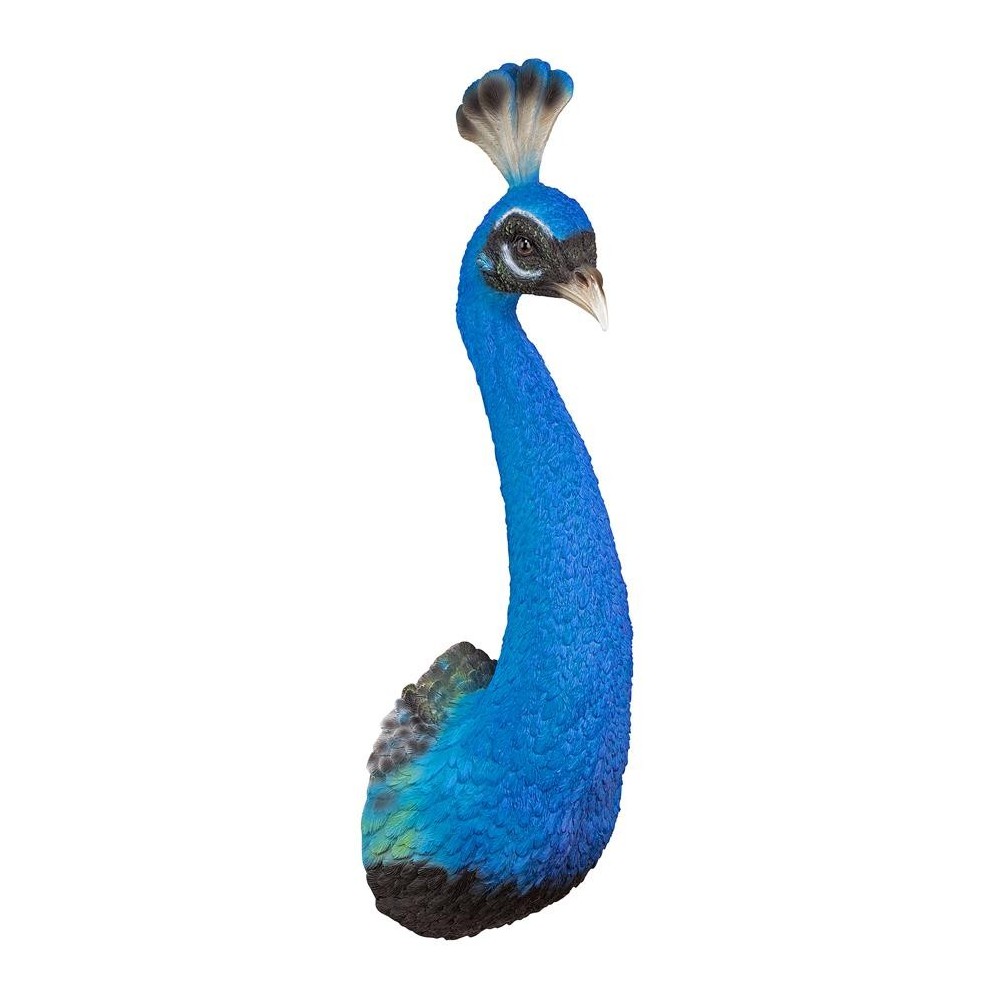 Design Toscano Peacock Head Wall Sculpture