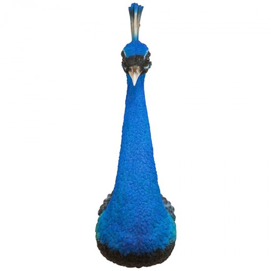 Design Toscano Peacock Head Wall Sculpture