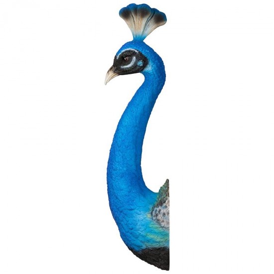 Design Toscano Peacock Head Wall Sculpture