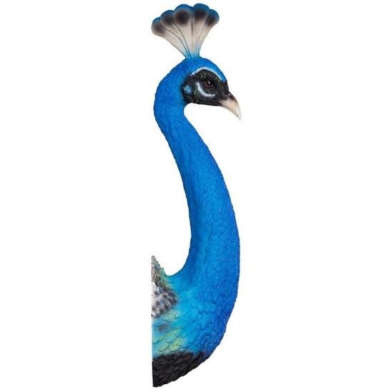 Design Toscano Peacock Head Wall Sculpture