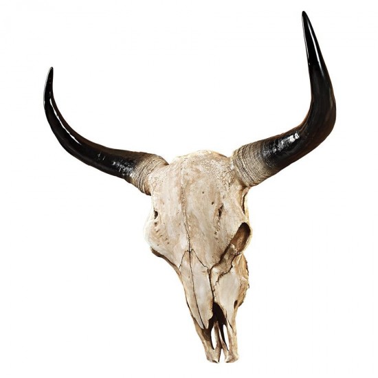 Design Toscano Long Horn Steer Wall Trophy