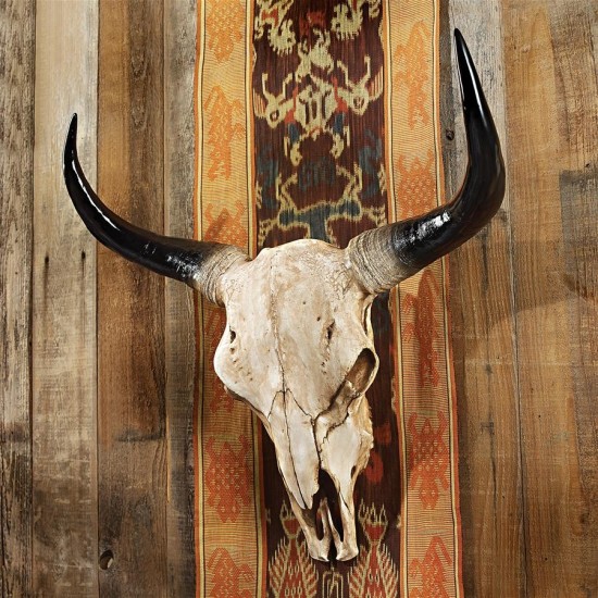 Design Toscano Long Horn Steer Wall Trophy