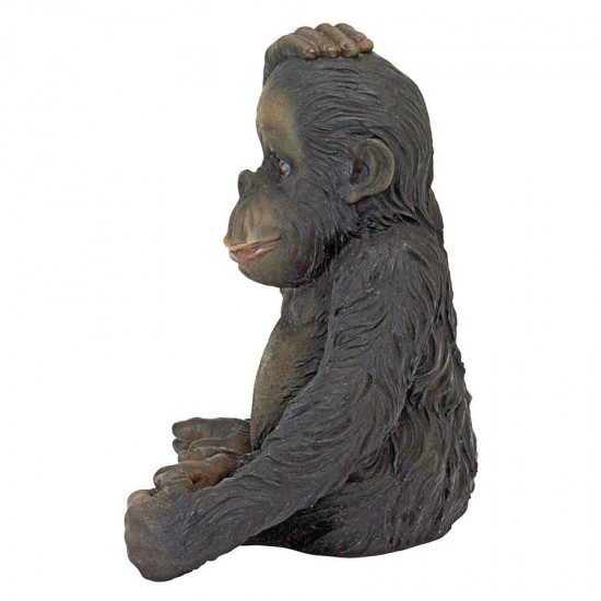 Design Toscano Curly The Chimpanzee Statue