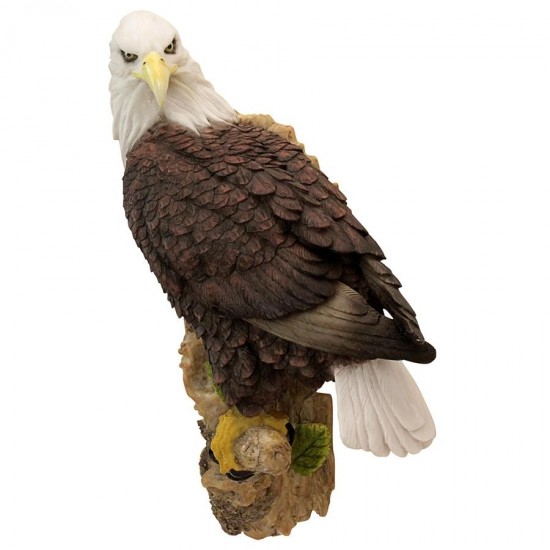 Design Toscano American Bald Eagle Wall Sculpture