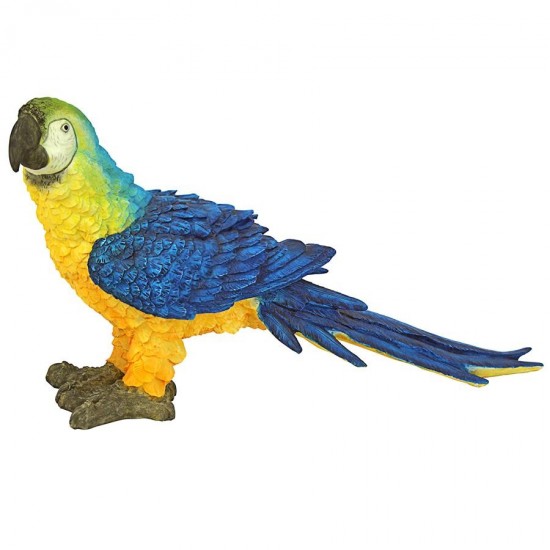 Design Toscano Blue Parrot