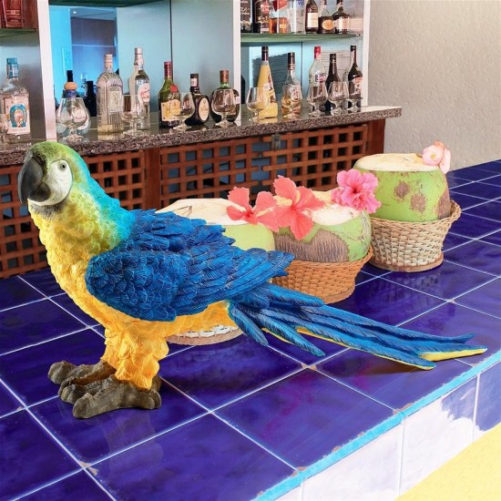 Design Toscano Blue Parrot