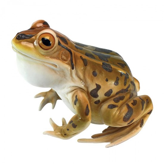 Design Toscano Lester The Leopard Frog Statue