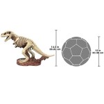 Design Toscano T-Rex Dinosaur Skeleton Statue