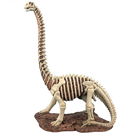 Design Toscano Brachiosaurus Skeleton Dinosaur Statue