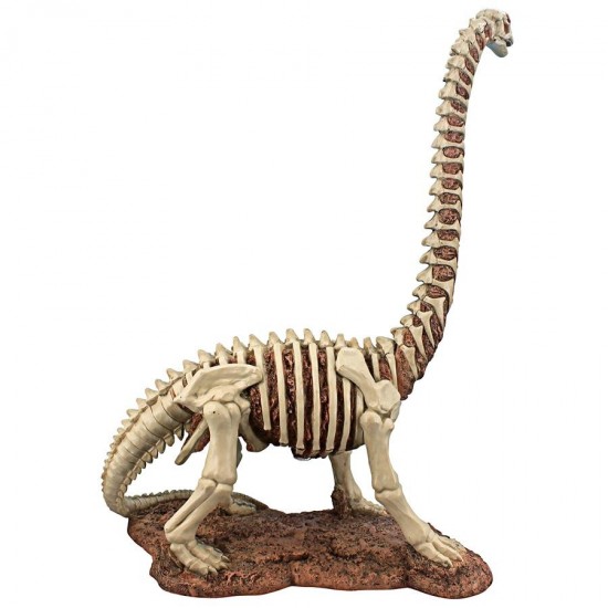 Design Toscano Brachiosaurus Skeleton Dinosaur Statue