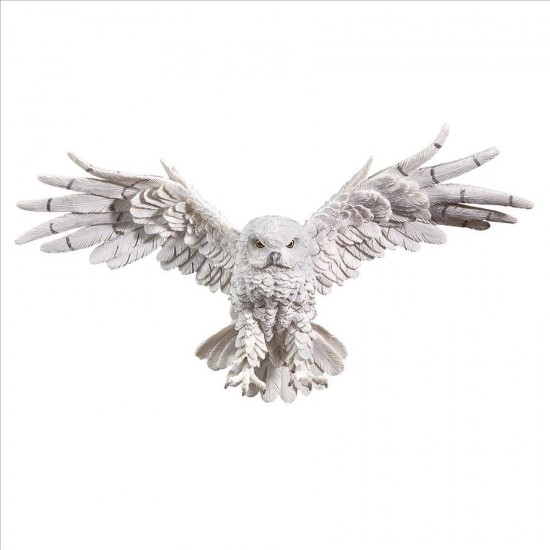 Design Toscano Mystical Spirit Owl Wall Sculpture