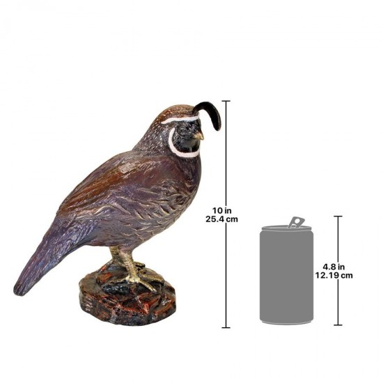 Design Toscano Color Washed Male California Quail