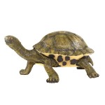 Design Toscano Giant Tranquil Tortoise