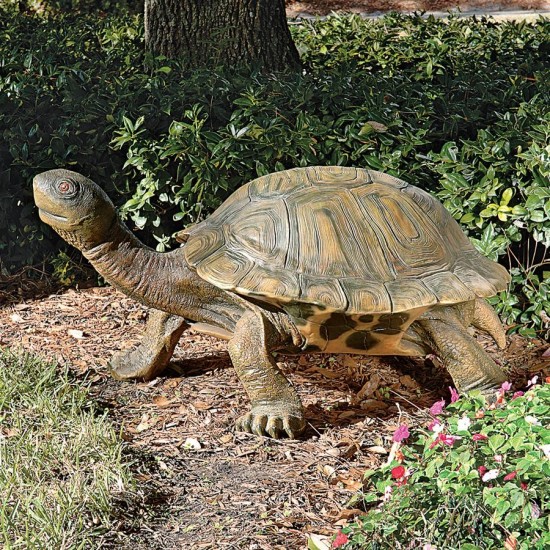 Design Toscano Giant Tranquil Tortoise