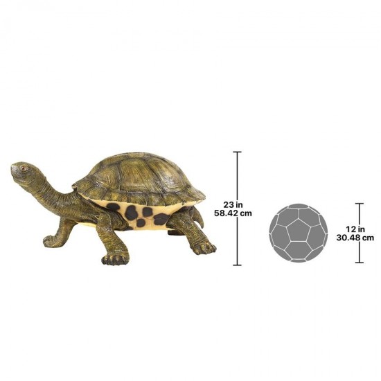 Design Toscano Giant Tranquil Tortoise