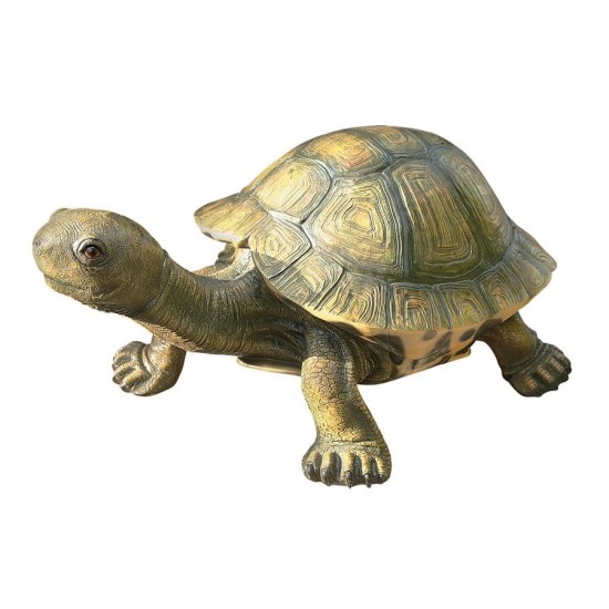 Design Toscano Large Tranquil Tortoise