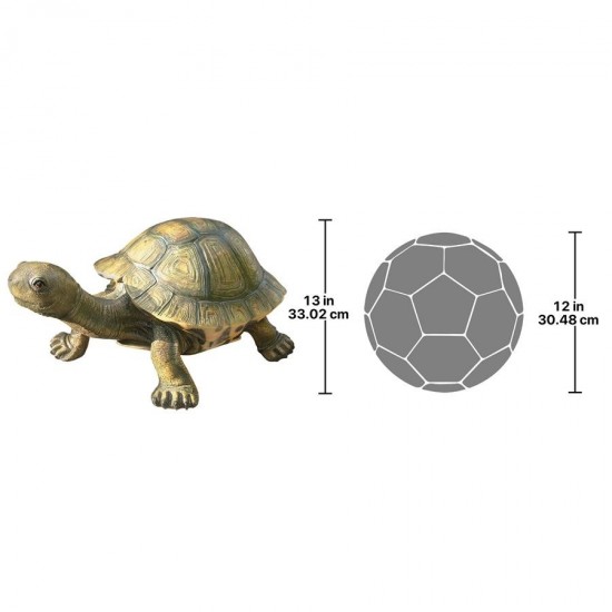 Design Toscano Large Tranquil Tortoise