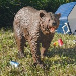 Design Toscano Grand Scale Brown Bear