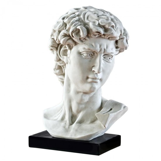 Design Toscano Bust Of Michelangelos David