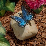 Design Toscano Papilio Ulysses Butterfly On Rock Statue