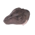 Design Toscano Allosaurus Wall Trophy Mouth Closed