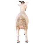 Design Toscano Billy Goat Statue