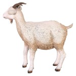 Design Toscano Billy Goat Statue