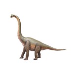 Design Toscano Brachiosaurus Looking Forward