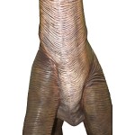 Design Toscano Brachiosaurus Looking Forward